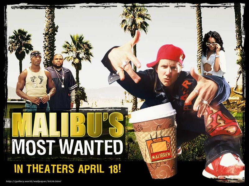 Malibu's Most Wanted movie poster
