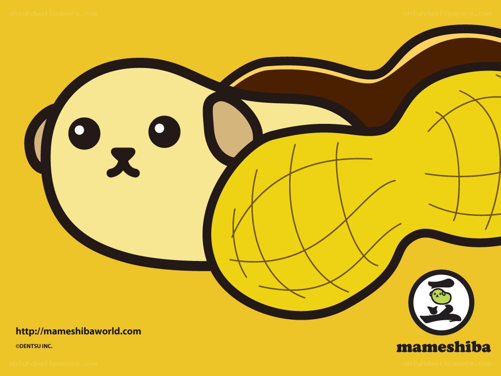Mameshiba character illustration