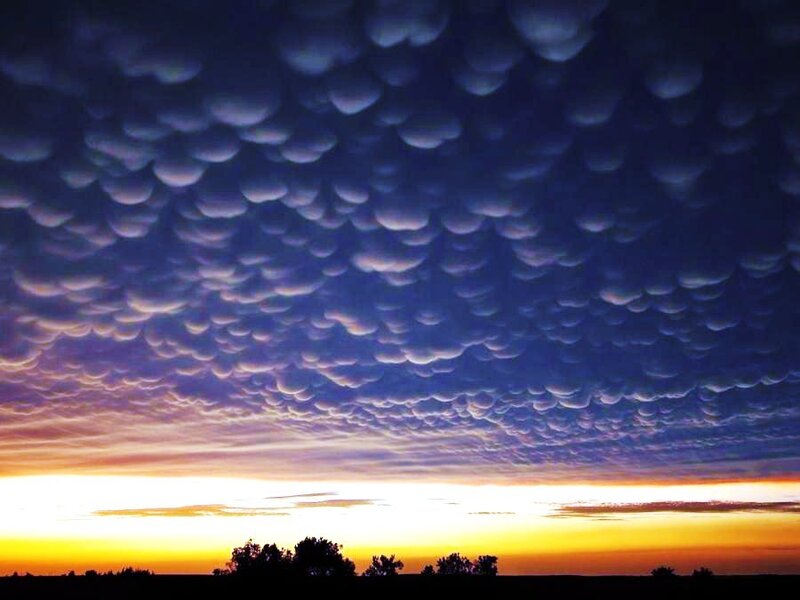 Mammatus clouds at sunset