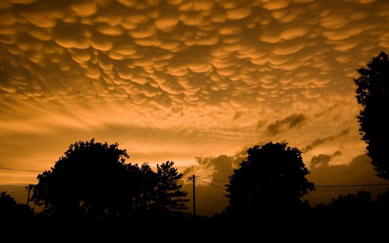 Mammatus clouds at sunset