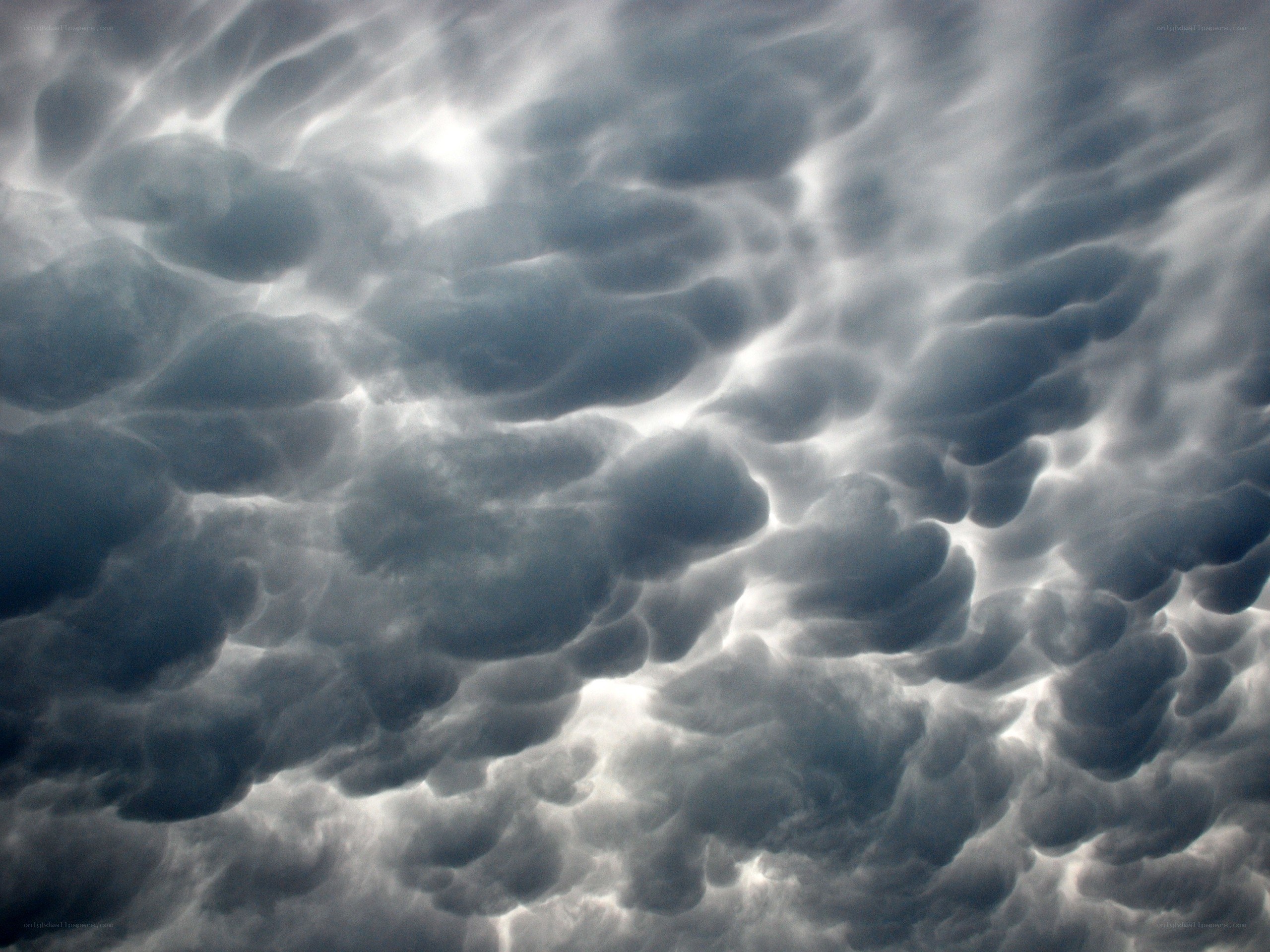 Mammatus clouds formation