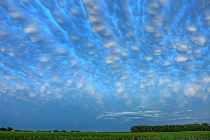 Mammatus clouds over a field