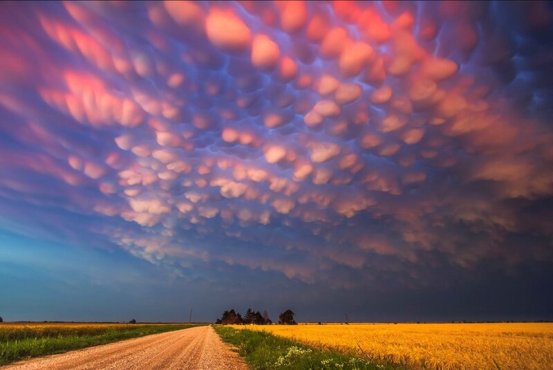 Mammatus Clouds over Field — Purple
