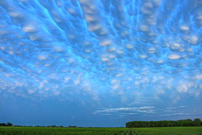 Mammatus Clouds over Field