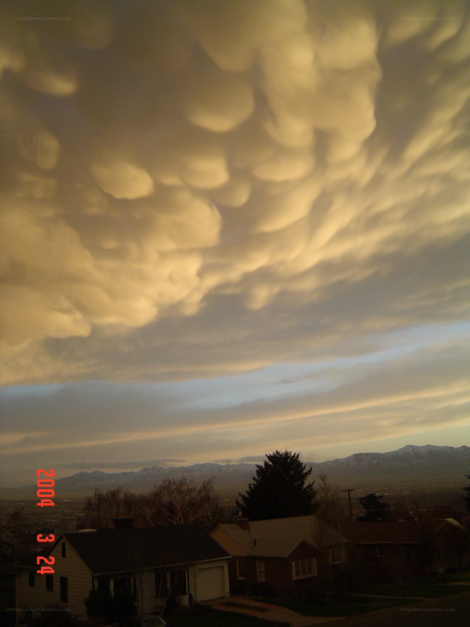 Mammatus clouds over suburban homes