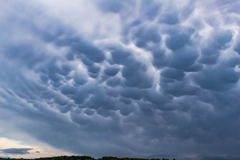 Mammatus Clouds over Trees