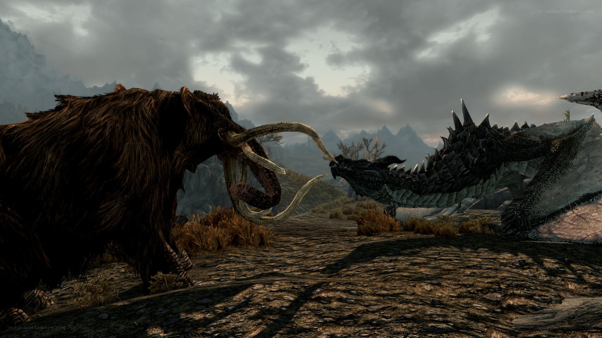 Mammoth and dragon face-off