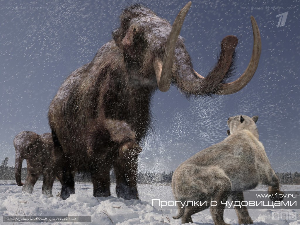 Mammoth family in snowstorm