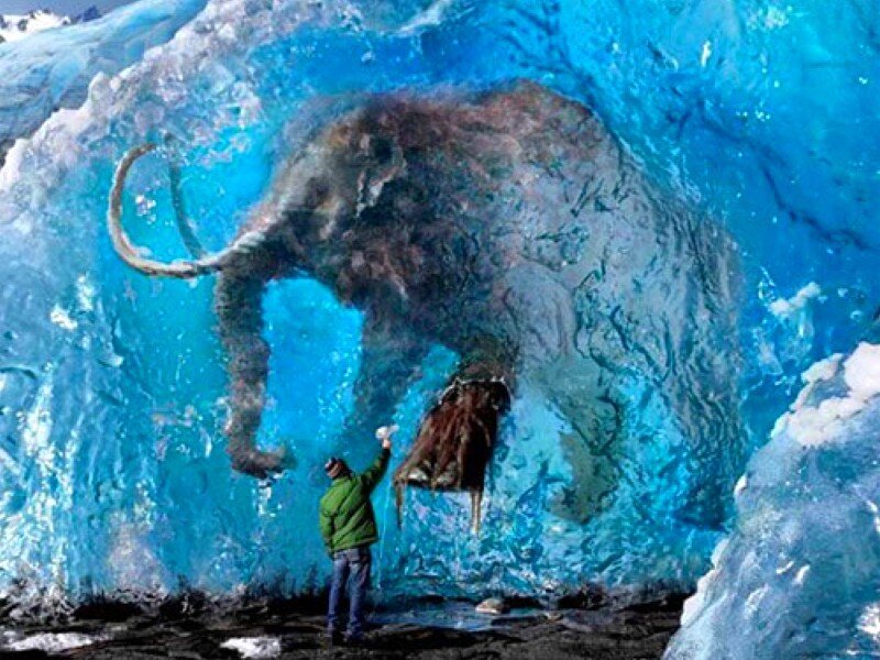 Mammoth frozen in ice