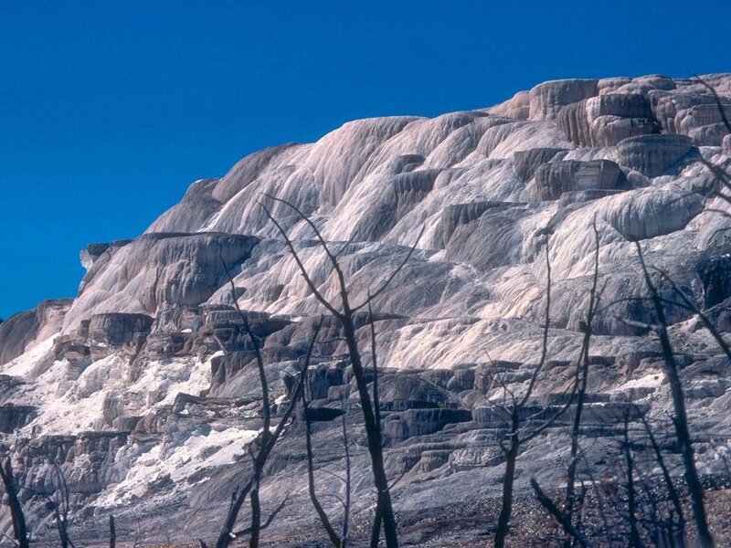 Mammoth Hot Springs terraces