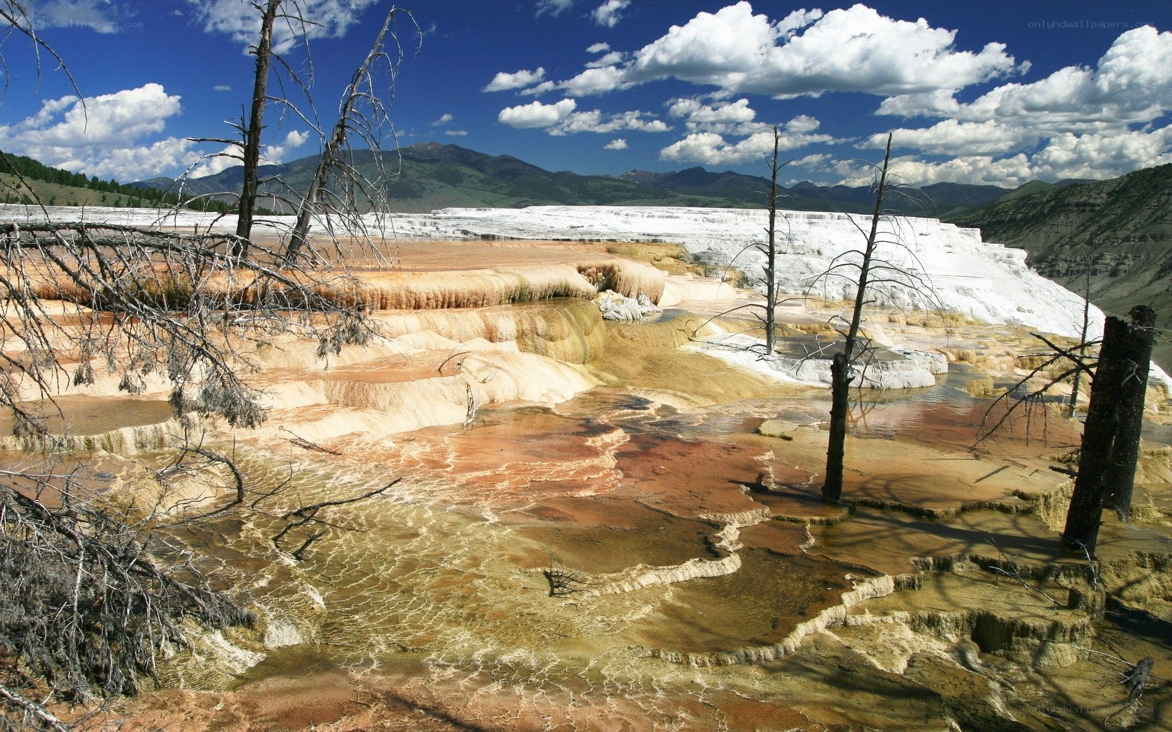 Mammoth Hot Springs terraces