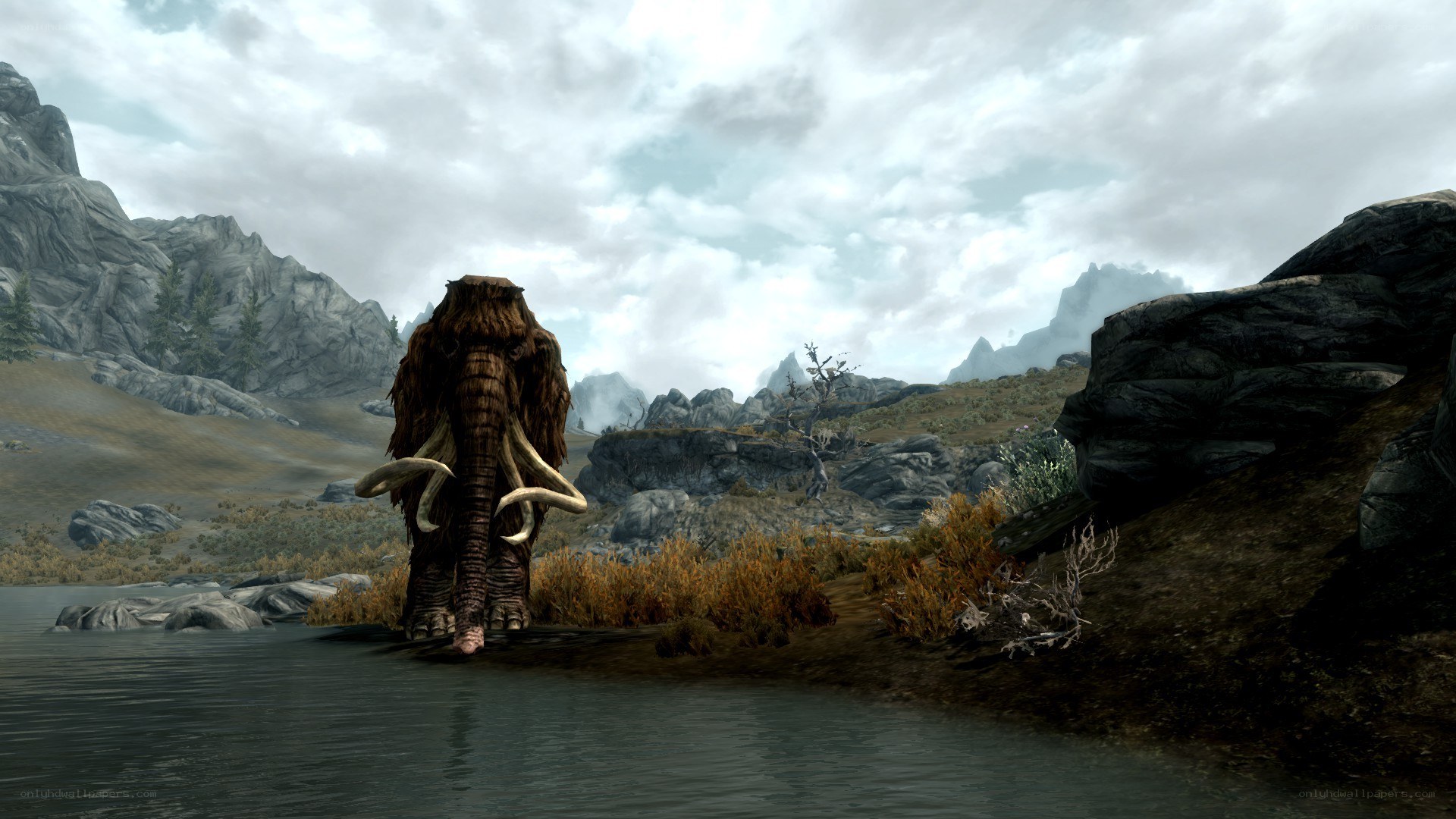 mammoth in a mountain lake