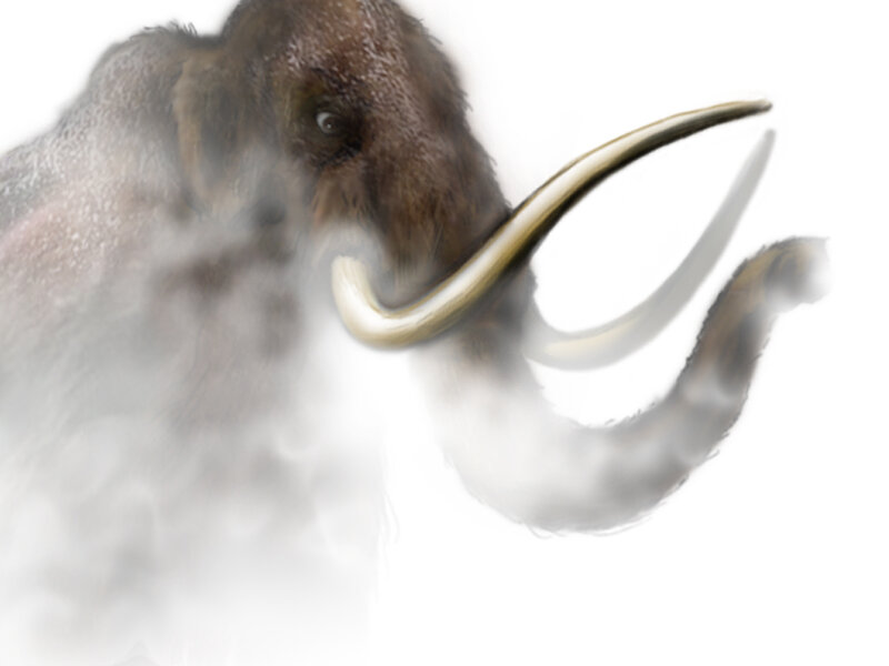 Mammoth in mist