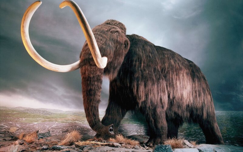 Mammoth in prehistoric landscape