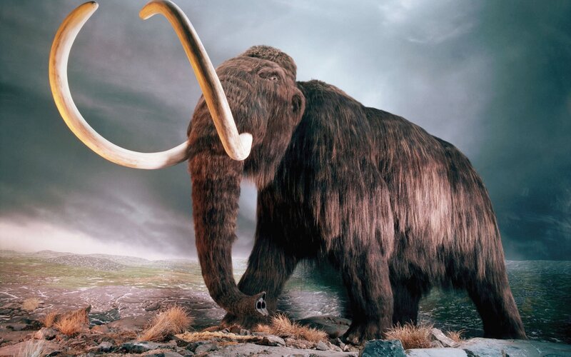 Mammoth in prehistoric landscape