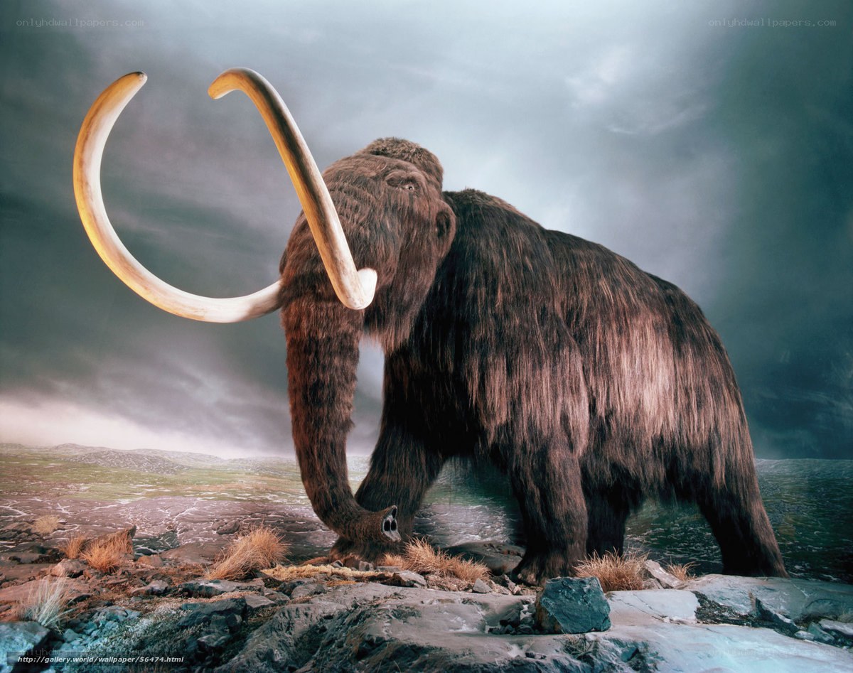 Mammoth in prehistoric landscape