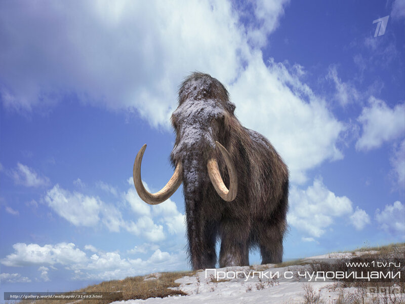 Mammoth in snowy landscape