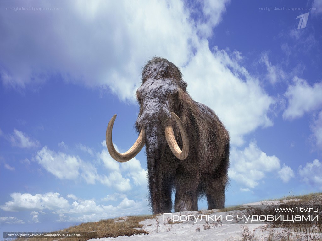 Mammoth in snowy landscape