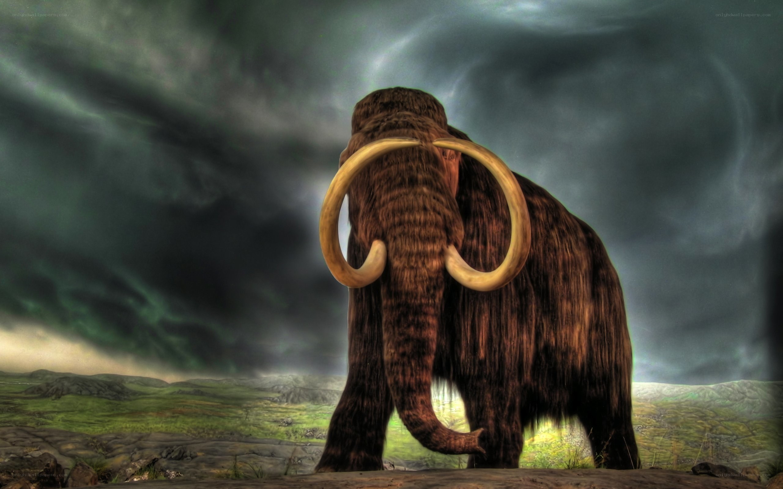 Mammoth in stormy landscape