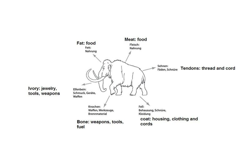 Mammoth resource uses diagram