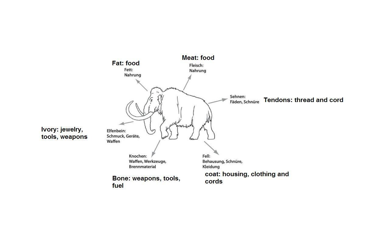 Mammoth resource uses diagram