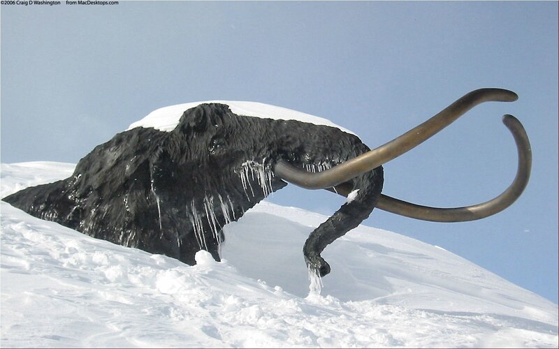 Mammoth Sculpture in Snow