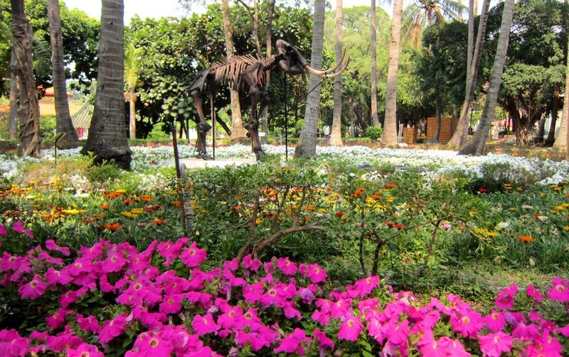 Mammoth Skeleton in Garden