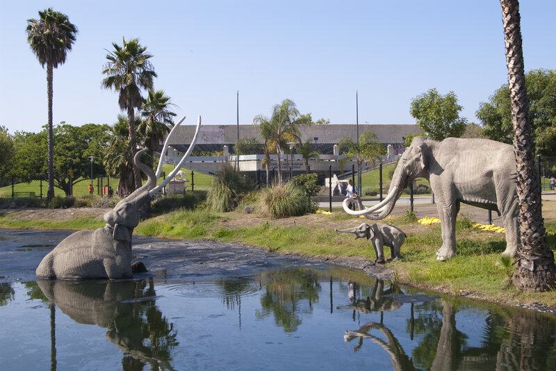 Mammoth Statues in Park