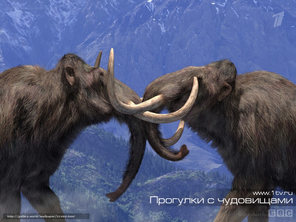 Mammoths fighting in mountains