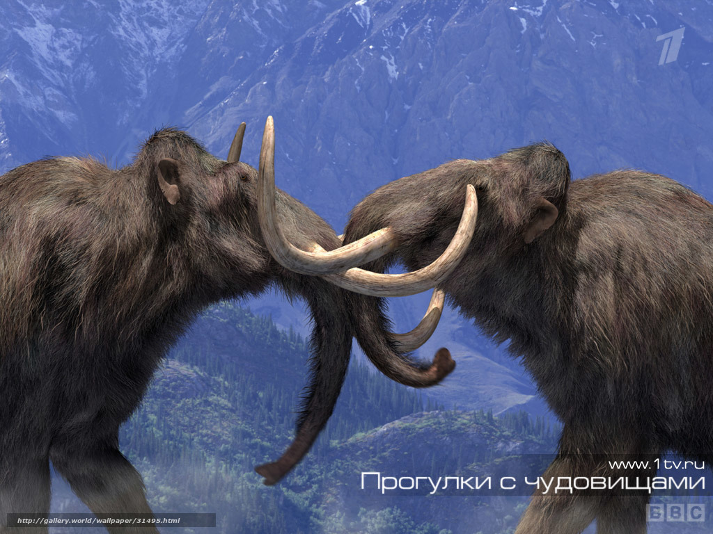 Mammoths fighting in mountains