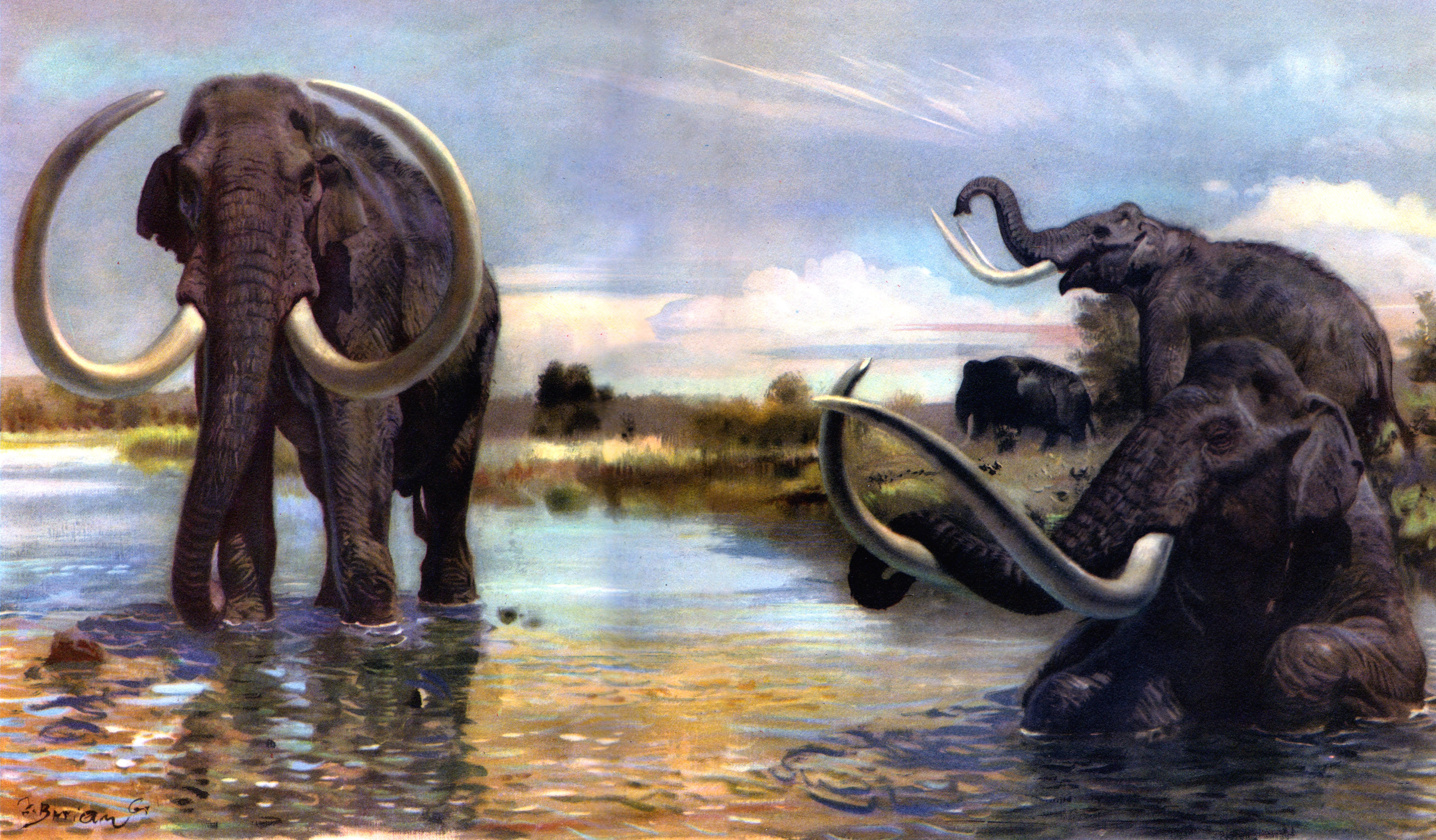 Mammoths in a river landscape