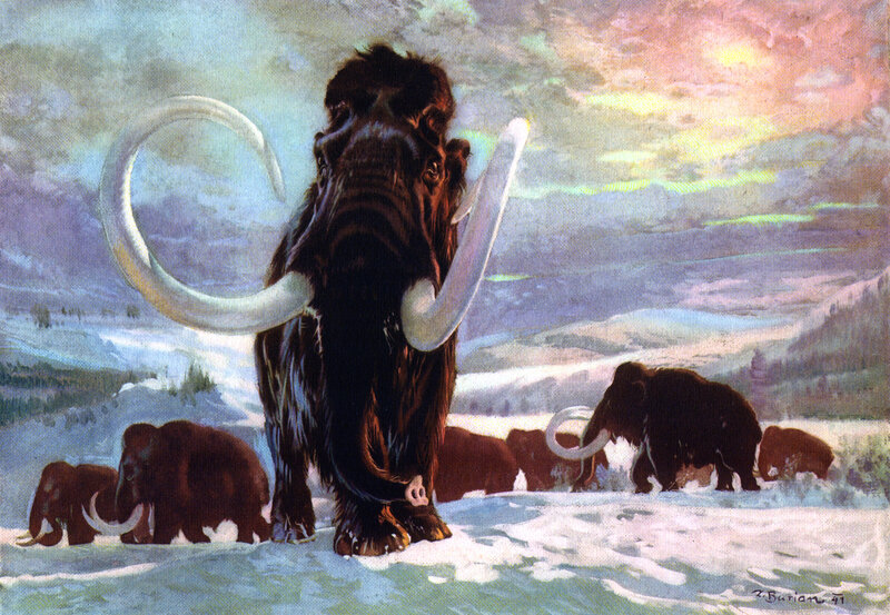 Mammoths in a snowy landscape