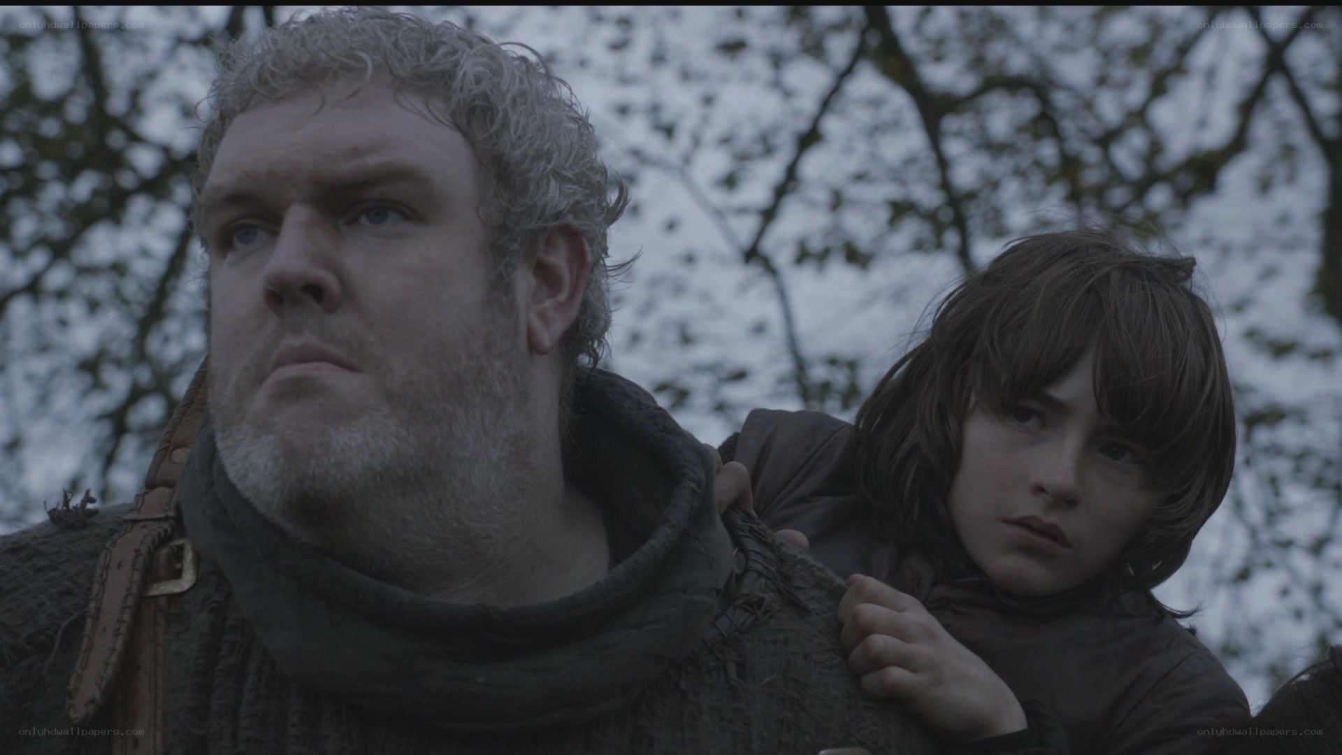 man and boy in forest