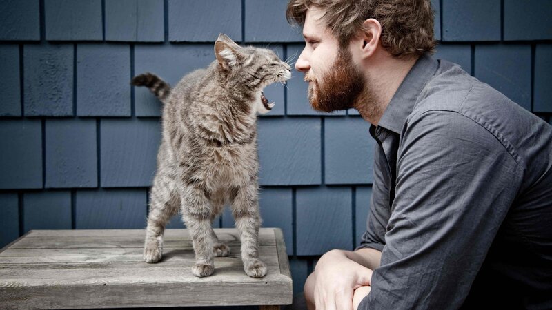 Man and cat face-off
