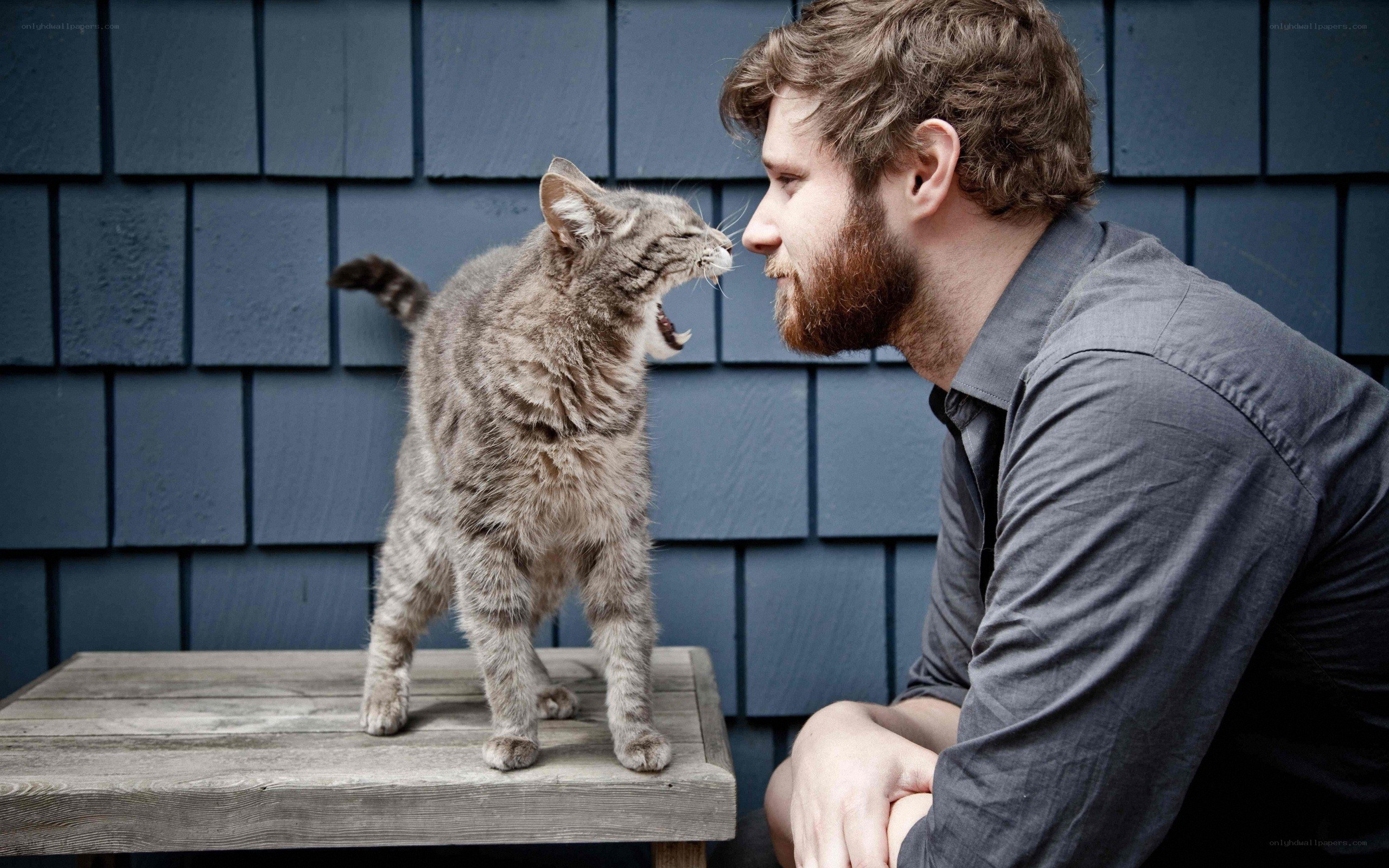 Man and cat face-to-face