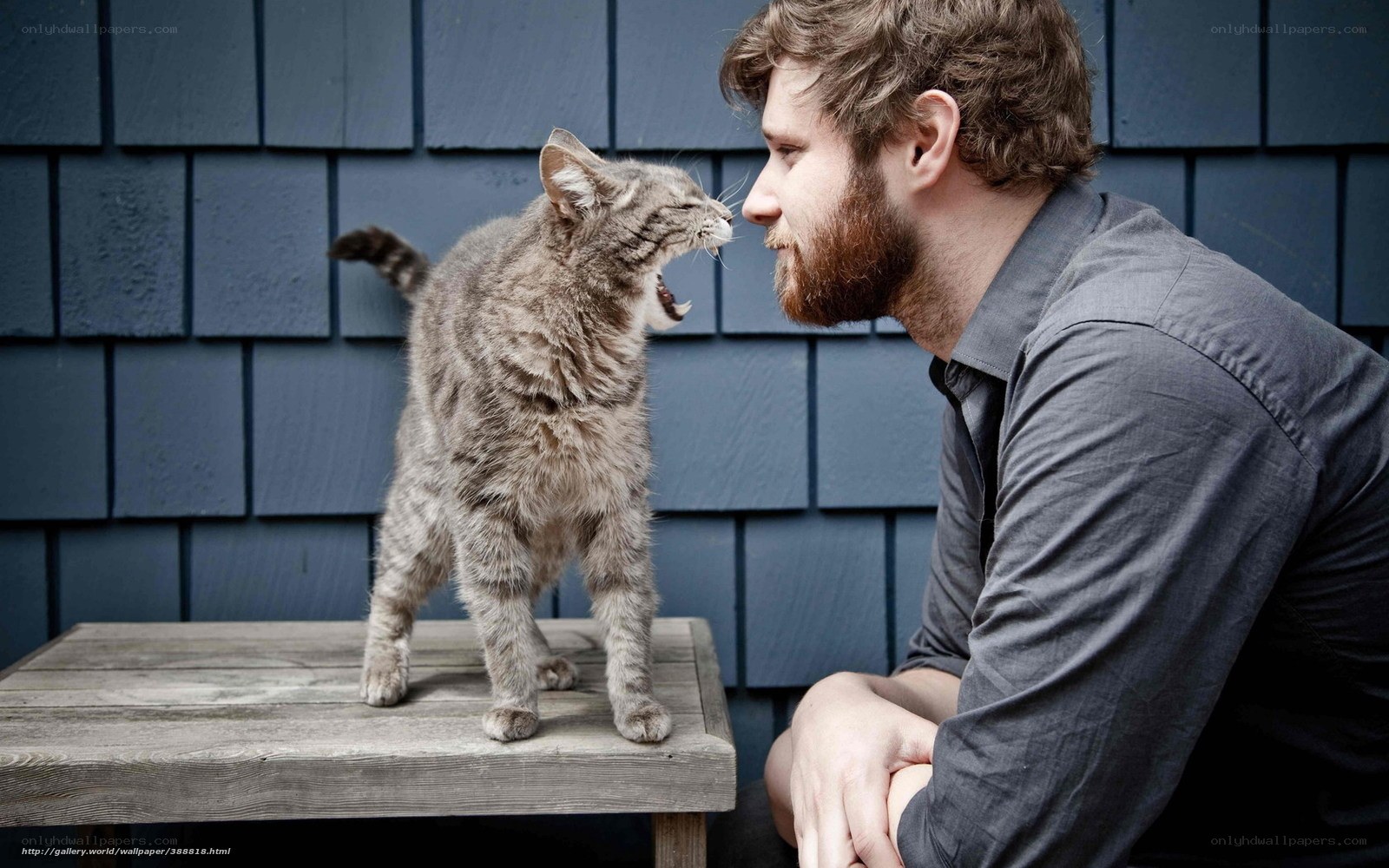 Man and cat face-to-face