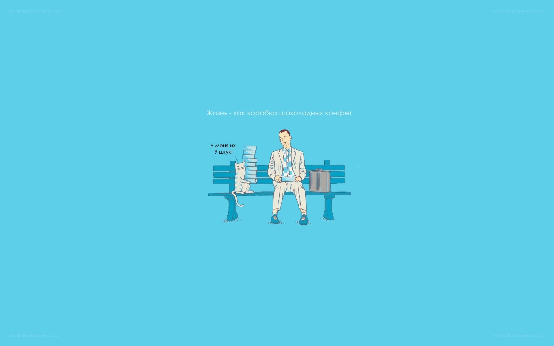 Man and cat on a bench