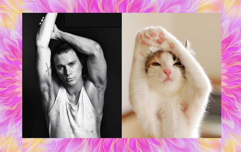 Man and Cat Stretching