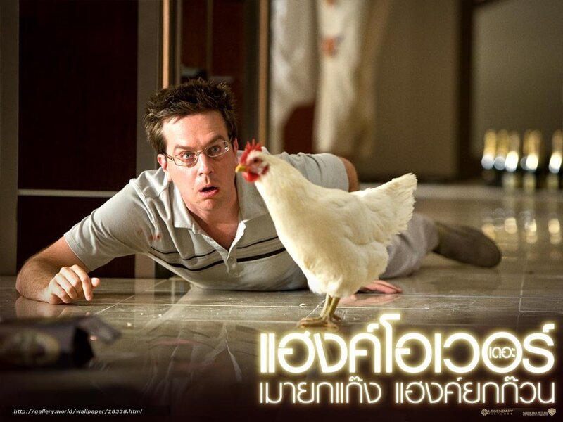 Man and chicken on floor