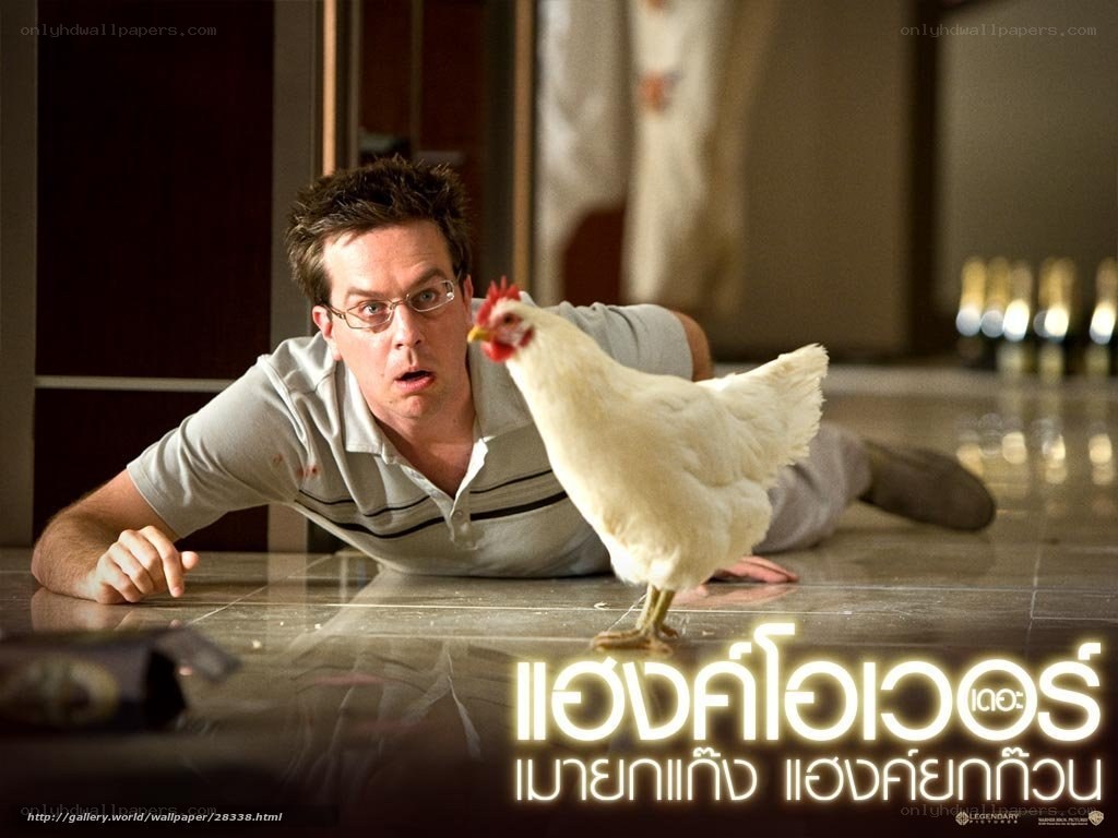 Man and chicken on floor