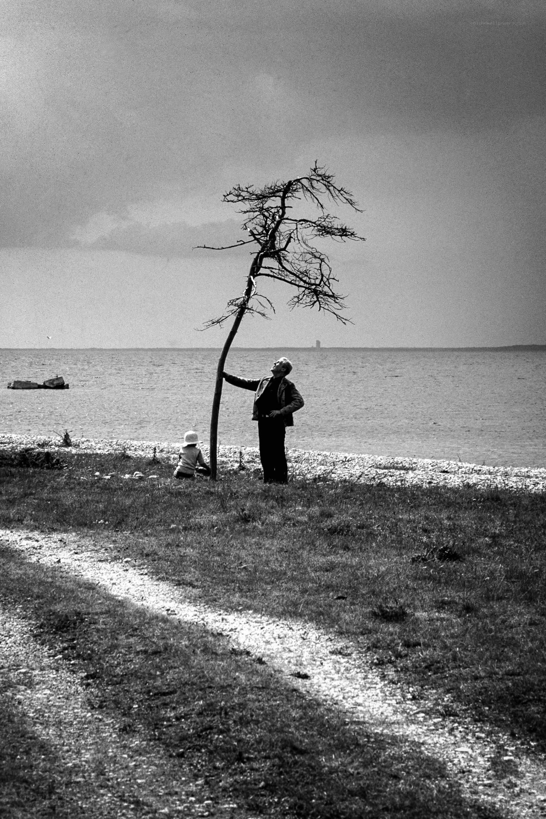 Man and child by a dead tree