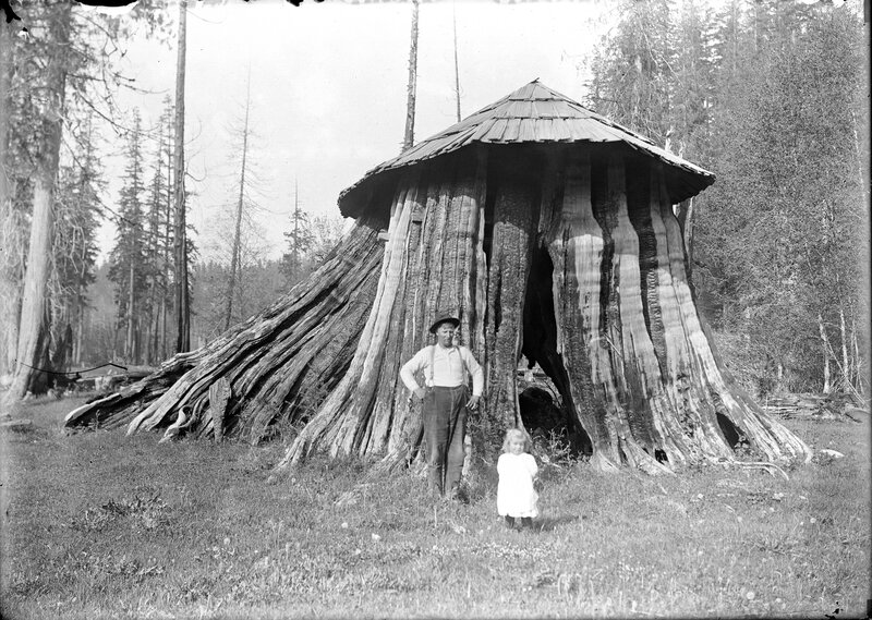 Man and child by tree stump hut