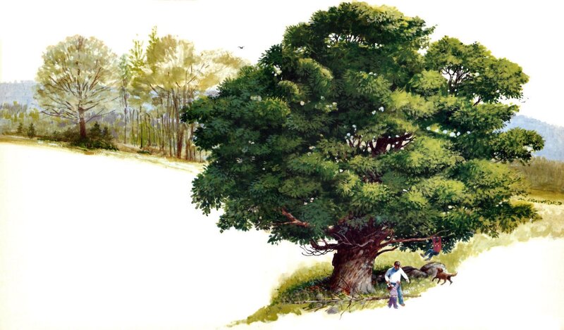Man and Child under Tree