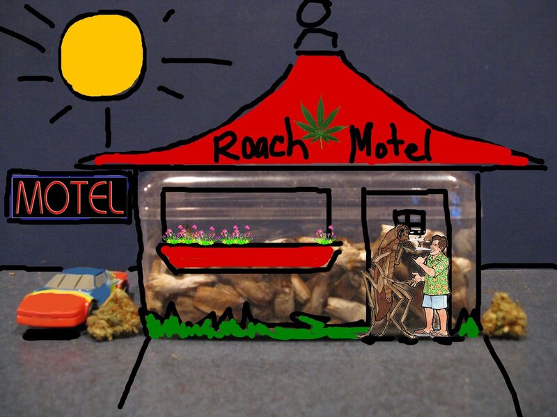 Man and Cockroach — Red