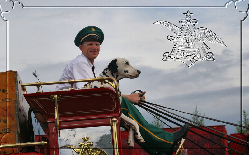 Man and Dalmatian in Carriage