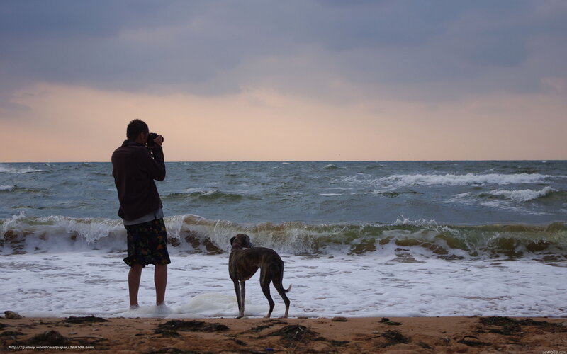 Man and dog at the beach