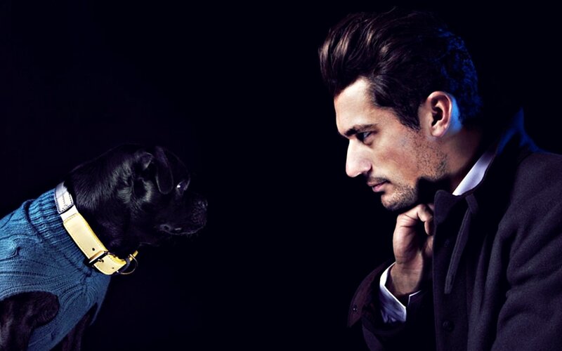 Man and Dog Facing Each Other