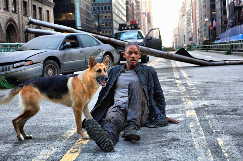 Man and dog in city chaos