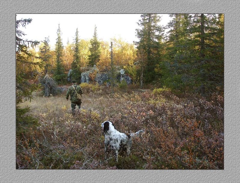 Man and Dog in Forest