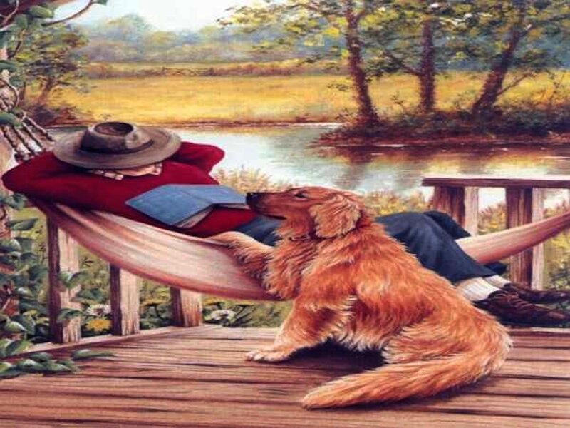 Man and Dog in Hammock